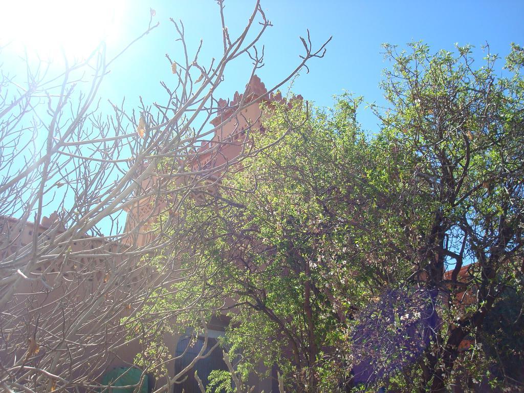 Kasbah Ait Kassi Hotel Boumalne Екстериор снимка