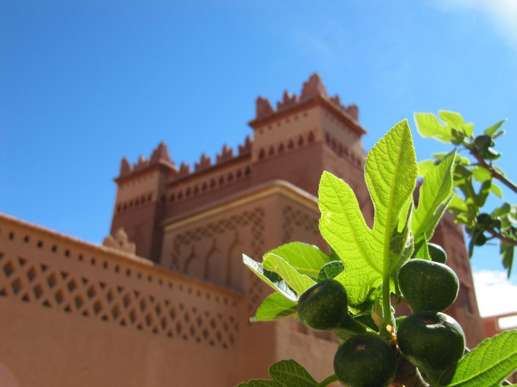 Kasbah Ait Kassi Hotel Boumalne Екстериор снимка